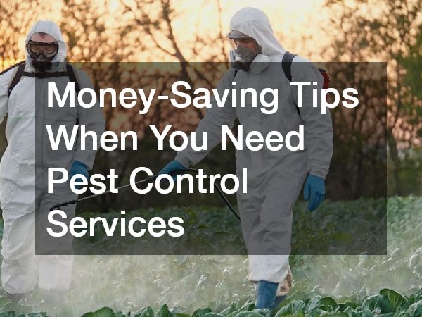 Money-Saving Tips When You Need Pest Control Services